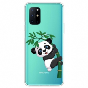 Kryt OnePlus 8T Bezšvové Panda Na Bambusu